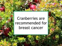 Cranberries are recommended for breast cancer
