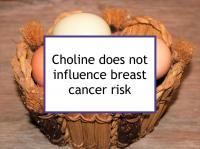 Choline does not influence breast cancer risk