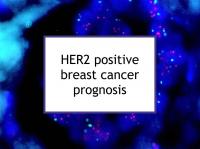 HER2 positive breast cancer prognosis