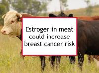 Estrogen in meat could increase breast cancer risk