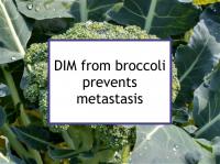 DIM from broccoli prevents metastasis