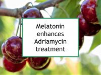 Melatonin enhances Adriamycin treatment