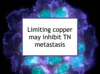 Limiting copper may inhibit TN metastasis