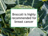 Broccoli is highly recommended for breast cancer