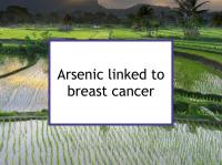 Arsenic linked to breast cancer risk