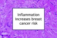 Inflammatory diet increases breast cancer risk
