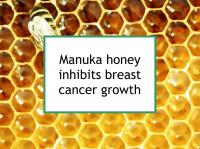 Manuka honey inhibits ER+/PR+ tumor growth