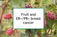 Fruit and ER+/PR+ breast cancer