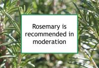 Rosemary is recommended in moderation