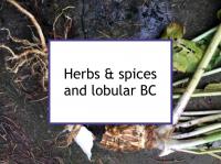 Herbs & spices and lobular breast cancer