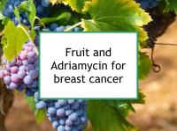 Fruit and Adriamycin for breast cancer