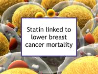 Statin use linked to lower breast cancer mortality