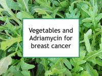 Vegetables and Adriamycin for breast cancer