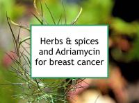 Herbs & spices and doxorubicin for breast cancer