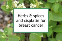 Herbs & spices and cisplatin for breast cancer