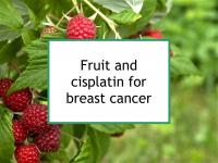 Fruit and cisplatin for breast cancer