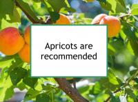 Apricots are recommended
