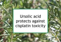 Ursolic acid protects against cisplatin toxicity