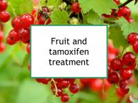 Fruit and tamoxifen treatment