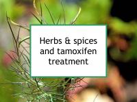 Herbs & spices and tamoxifen treatment