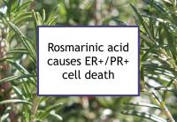 Rosmarinic acid causes ER+/PR+ cell death