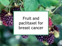 Fruit and paclitaxel for breast cancer