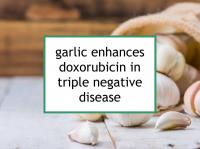 Garlic enhances doxorubicin in breast cancer