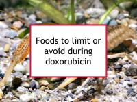 Foods to limit or avoid during doxorubicin