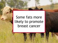 Some fats more likely to promote breast cancer