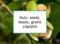 Nuts, seeds, beans, grains cisplatin