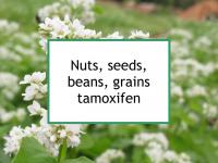 Nuts, seeds, beans, grains tamoxifen