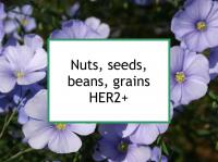Nuts, seeds, beans, grains HER2+