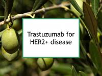 Trastuzumab for HER2+ breast cancer