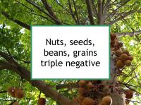 Nuts, seeds, beans, grains triple negative