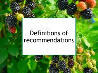 Food recommendation definitions