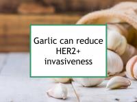 Garlic reduces or increases HER2+ invasiveness